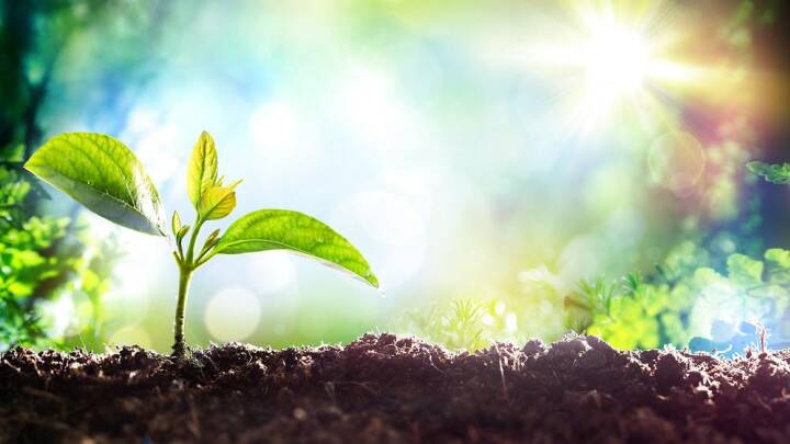 Gron Omstilling Kan Vaere Livsnodvendigt For Virksomheder Miljo Dr