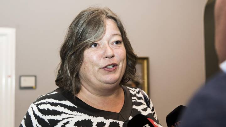 undsiger Mette Gjerskov Politik DR