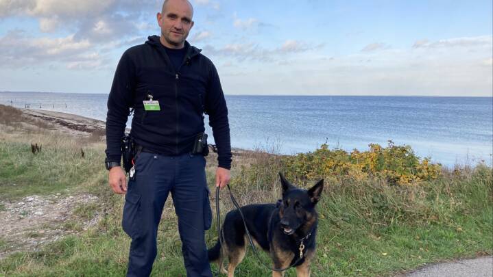Kom med på vandet: Efter Ubådssagen træner danske hunde i at finde lig