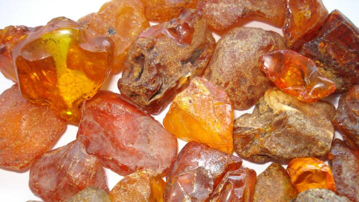 Det er nu, chancen er størst: Her er 6 tips til at finde rav | Vores ...