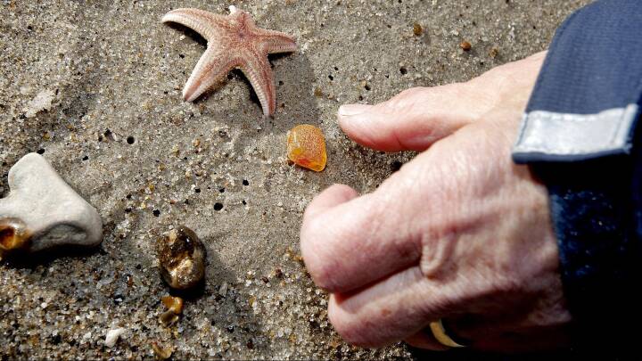 Det er nu, chancen er størst: Her er 6 tips til at finde rav | Vores ...