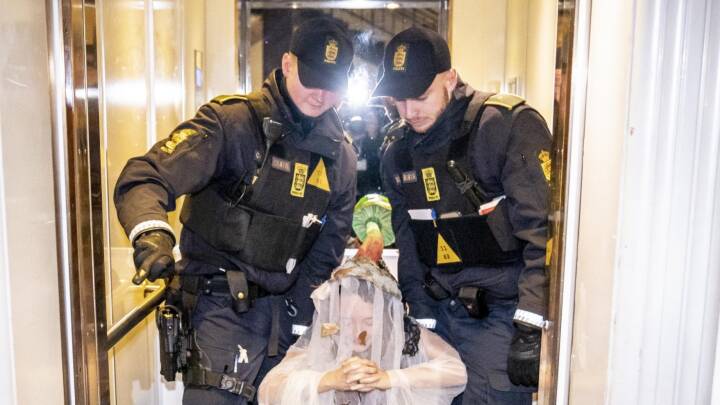 Ni aktivister anholdt på Københavns Rådhus