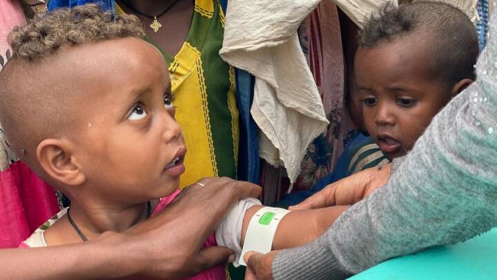 To millioner ramt af hungersnød i Etiopien, konkluderer FN-rapport