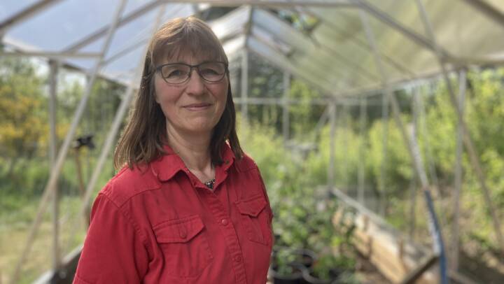 Gift i gødning: Lise ville hjælpe sine tomatplanter, men slog dem i stedet ihjel
