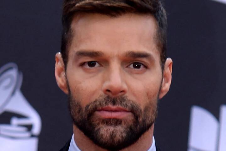 Ricky Martin har fået et tilhold i Puerto Rico, men kalder anklagerne mod sig 'fuldstændig falske'