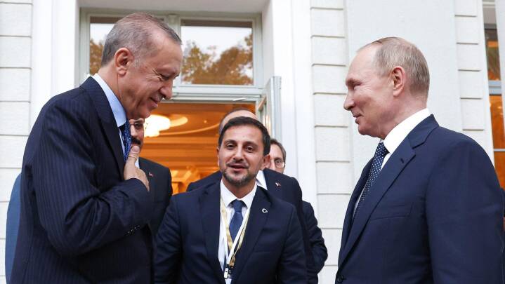 Erdogan og Putin aftaler at styrke samarbejde