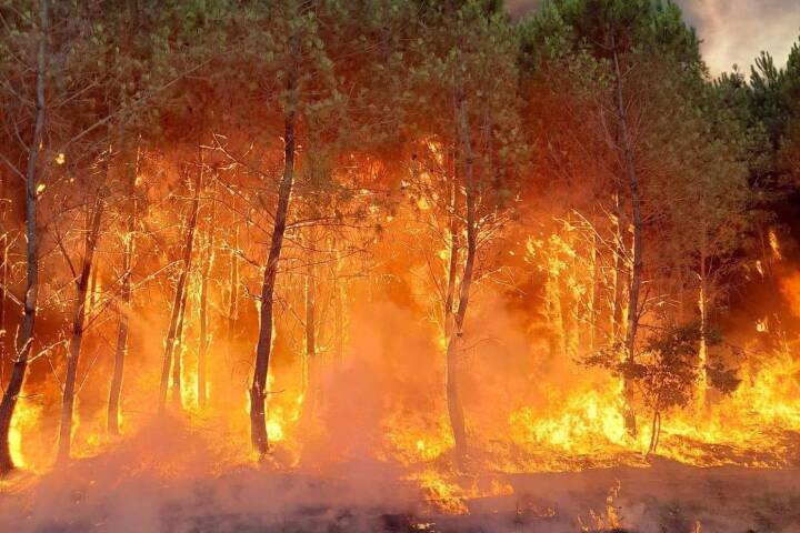 Naturbrande raser i det sydvestlige Frankrig