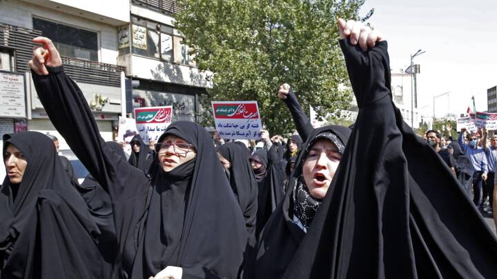 Danmarks ambassadør i Iran: 'Protesterne har ikke formået at mobilisere masserne'