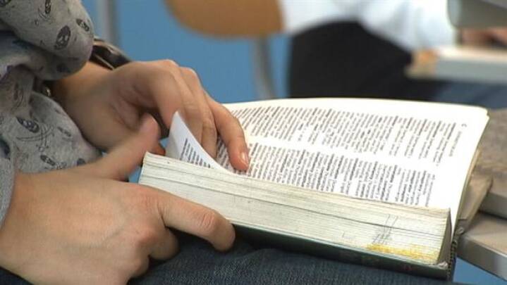 70 millioner EU-borgere har svært ved at læse og skrive