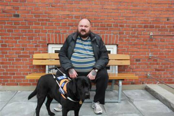 3 førerhunde til blinde og svagtseende på Bornholm | Bornholm DR