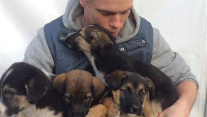 kommentar navigation Produktivitet Amerikansk sølvvinder redder herreløse hunde i Sochi | Sport | DR