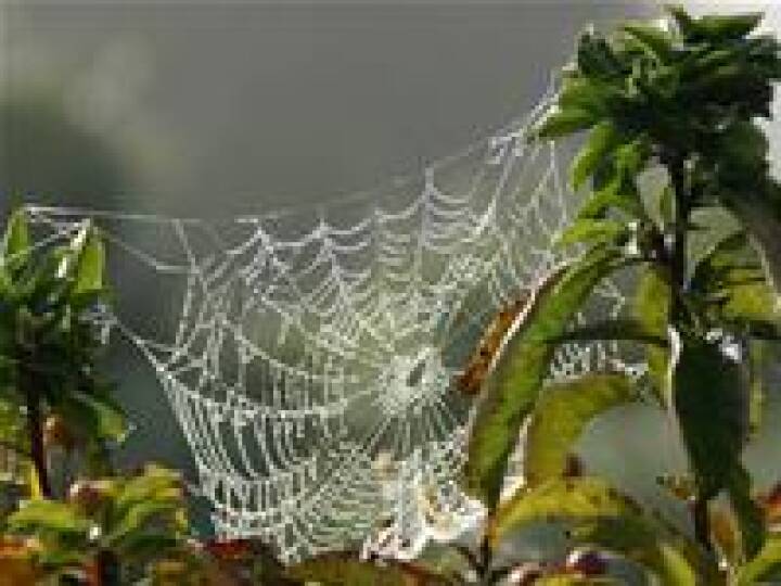 Oktober S tter Varmerekord Vejret DR oktober-s-tter-varmerekord-vejret-dr