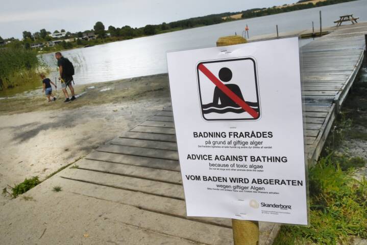 Download Strand flag farver For Free Strand Flag Farver