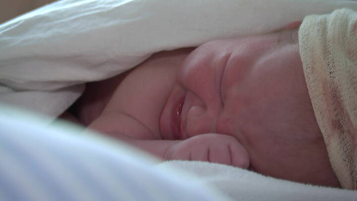 Tyskland Undersoger Opsigtsvaekkende Misdannelser Tre Nyfodte Pa