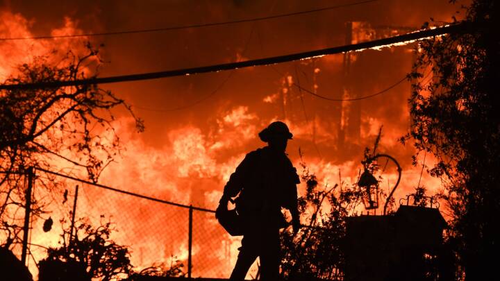 Den værste skovbrand i Californiens historie er nedkæmpet - 249 savnes stadig