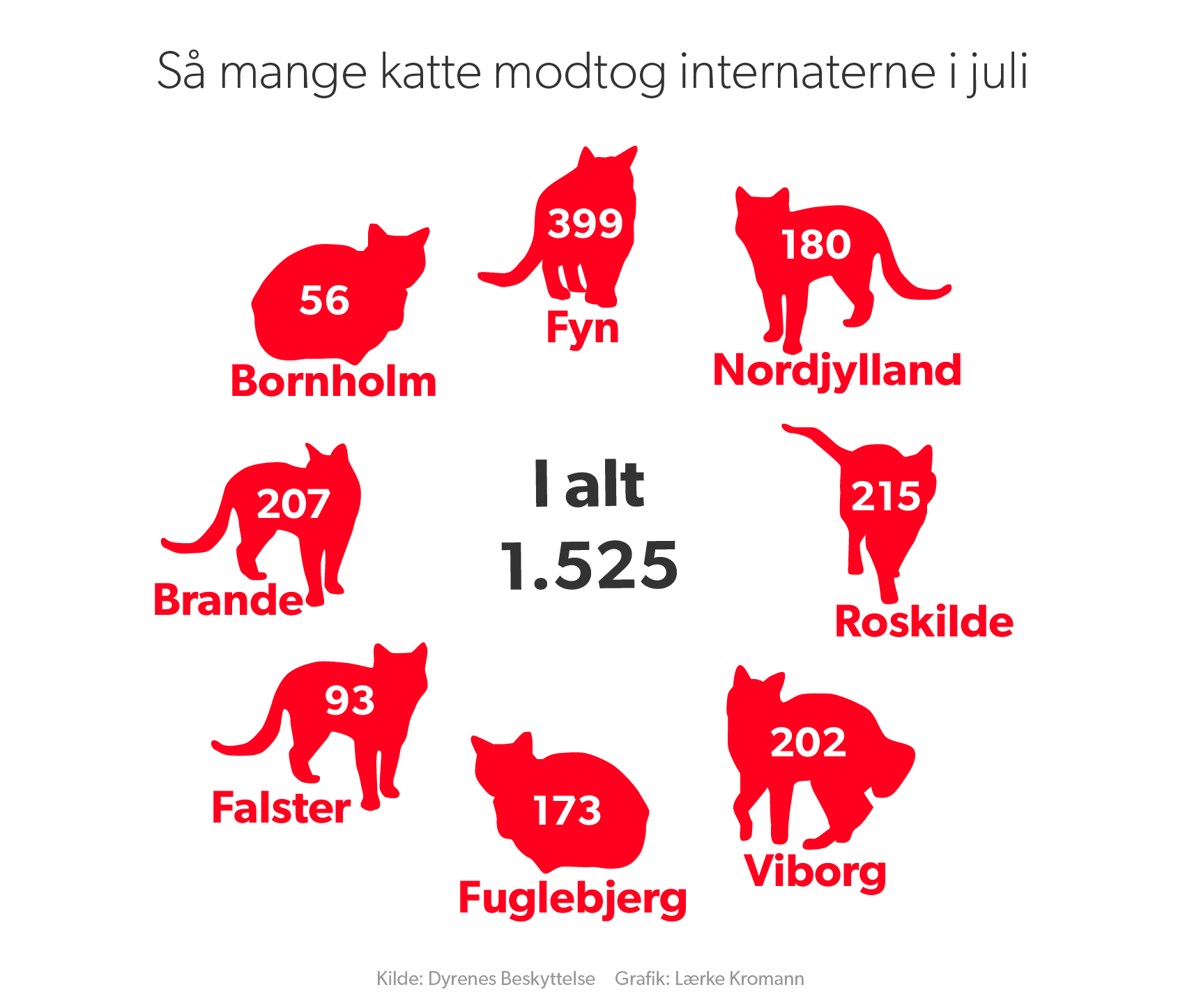 At opdage ganske enkelt Lavet til at huske 450 katte på fire måneder: Internat drukner i kasserede katte | Midt- og  Vestjylland | DR