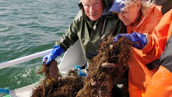 Limfjorden bugner af efterladt garn - lov holder fritidsfiskere at hjælpe | Midt- og Vestjylland DR