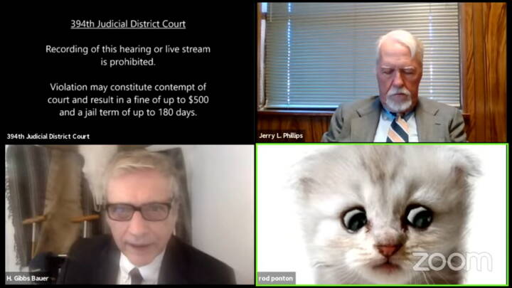 hoppe Massakre Politibetjent Katte-filter drillede advokat i amerikansk retssal: 'Jeg er her. Jeg er  ikke en kat' | Nyheder | DR