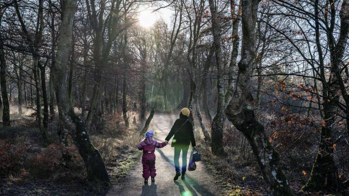 Gør din corona-gåtur til en mission: Hjælp med at finde disse 10 ubudne gæster i naturen