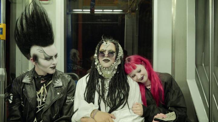 Niveauet er 'tårnhøjt' på filmfestival: Her er 5 film, du kan streame lige nu