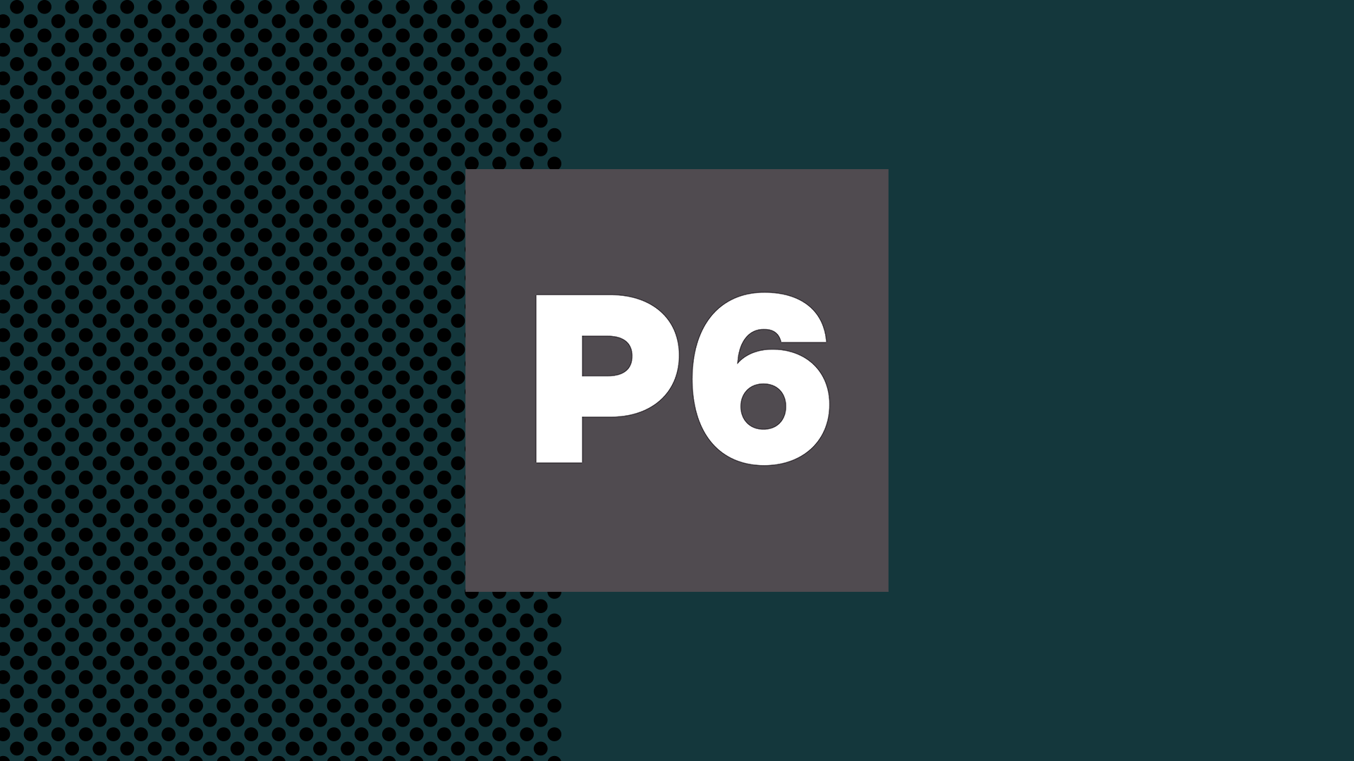 P6 – Mærk lyden