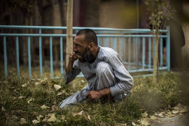 I Afghanistan må fængslede narkomaner spise græs for at overleve