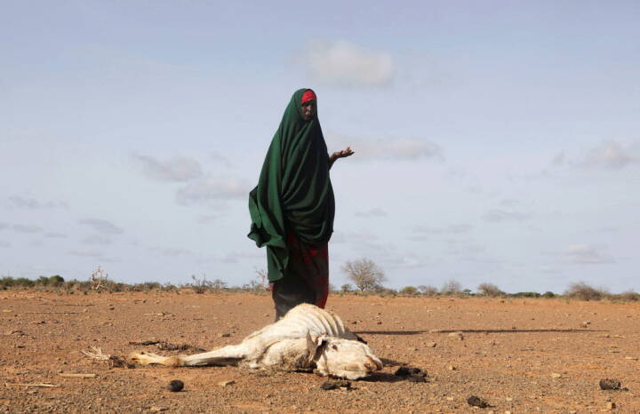 FN advarer: 'Katastrofal situation' på Afrikas Horn kan udvikle sig til den værste sultkrise i 40 år