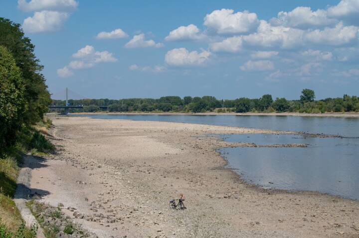 Halvdelen af EU ramt af tørke: Tysk flod slog sidste sommer 130 mennesker ihjel - i år er den næsten tørret ud