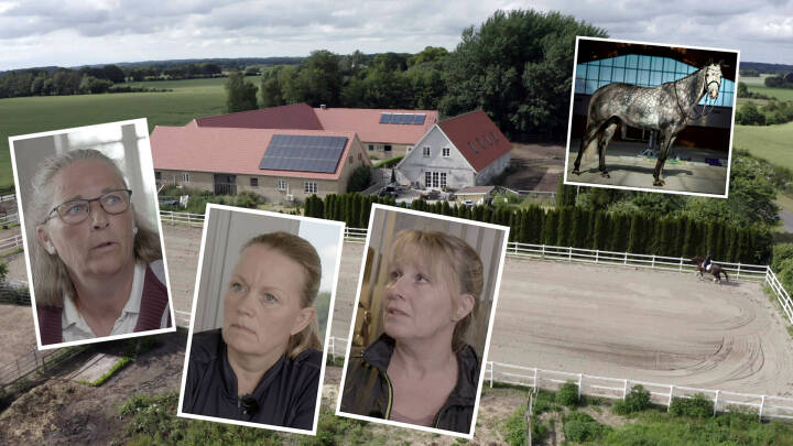 Heste-fuskere narrede store beløb fra Janne, Bodil og Anja: Politiet er magtesløst