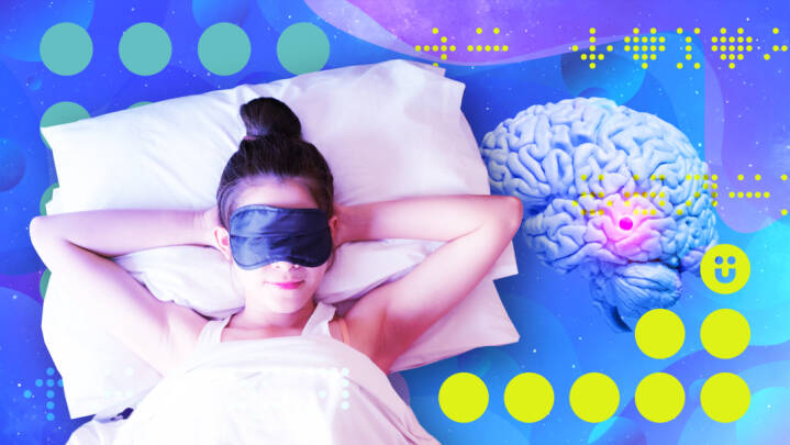 Del 2: Hvad sker der i kroppen, når man sover?