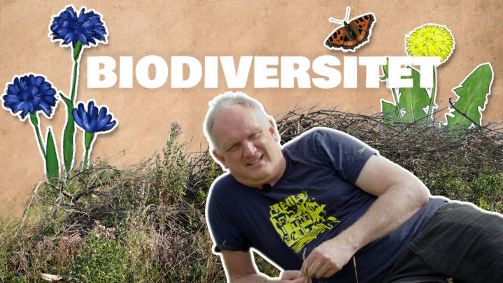 Del 2: Hvad er biodiversitet?