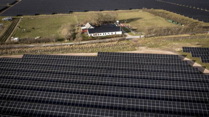 Sol er blevet en bedre forretning end hvede: Landmænd viser stor interesse for at etablere solceller