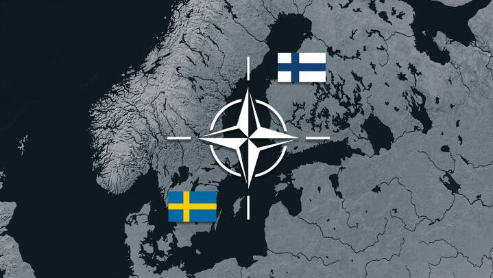 Tyrkiets parlament har godkendt Finlands ansøgning til Nato 