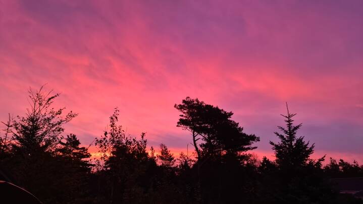 Askepartikler fra skovbrande i Canada farvede morgenhimlen ekstra rød