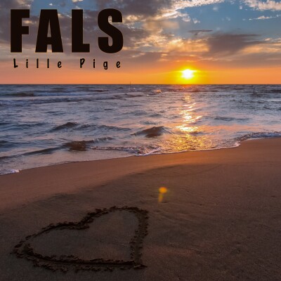 Fals KarriereKanonen DR