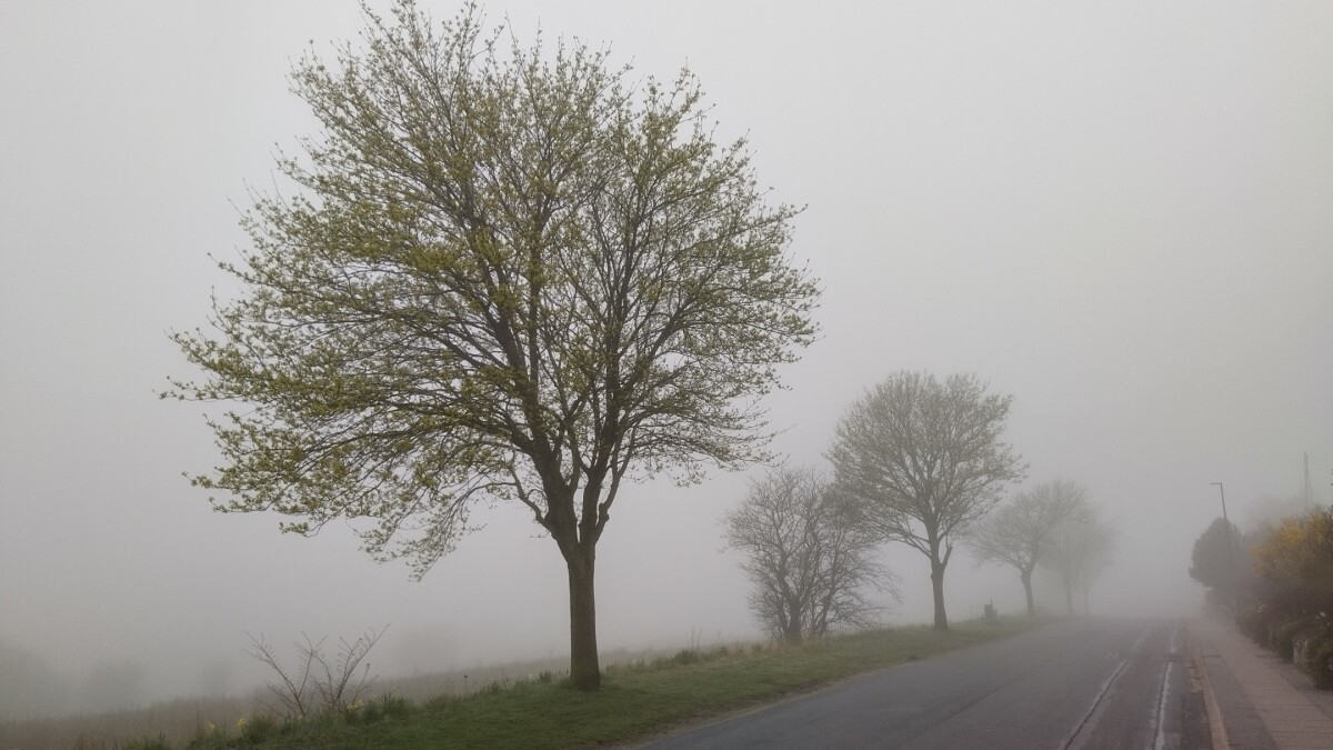 Risiko for tæt tåge - her kommer solen senere i dag