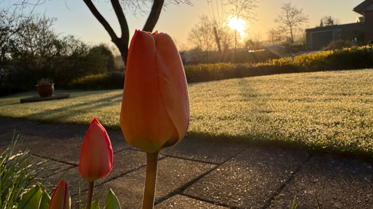 Solrig lørdag, men regnen lurer i kulissen