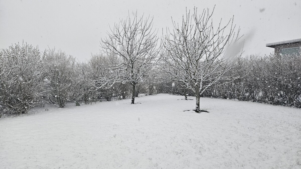 Se billederne: Snevejr i april