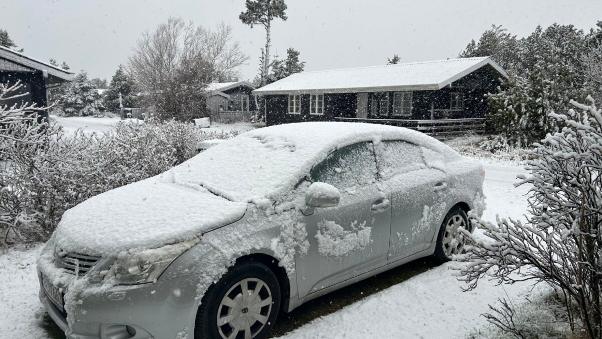 Vinteren er vendt tilbage: Her er man stået op til snevejr