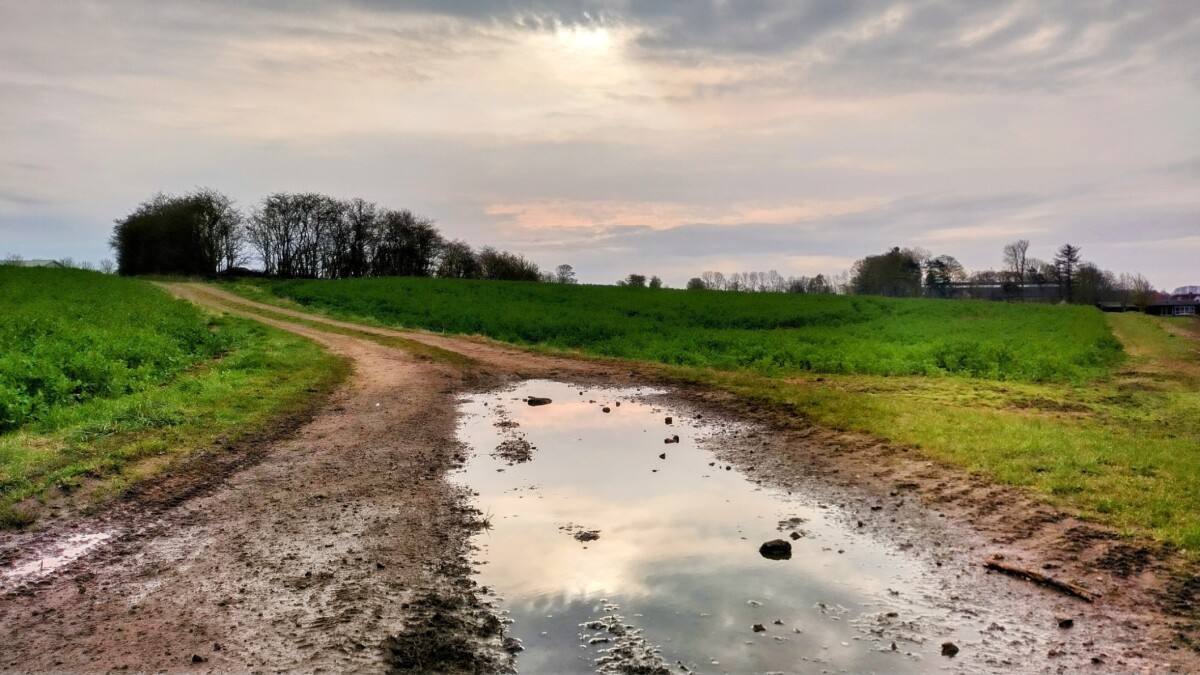 Lunt forårsvejr topper før regn og kulde tager over