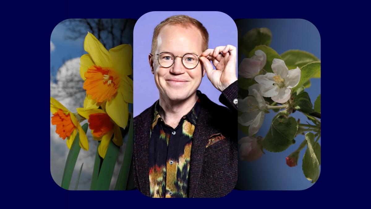 Quiz: Kan du slå Mathias Hammer i klassiske forårshits?