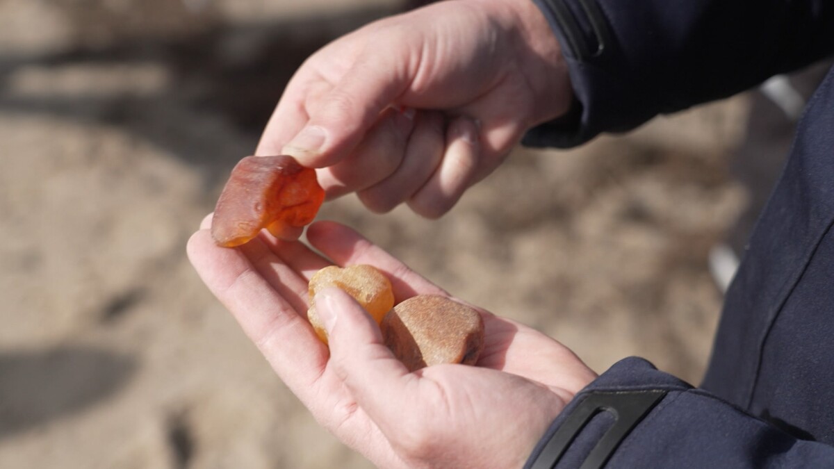 Stormen Dave forlænger ravjagt: 'Mulighed for at finde kæmpestore klumper'