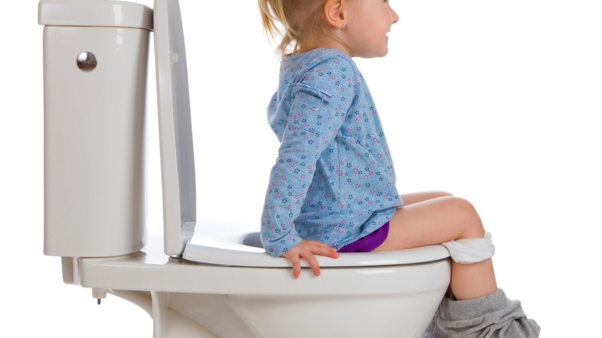 kristen bøf Squeak Hr. Pølle lærer dit barn at gå på toilettet | Børn | DR