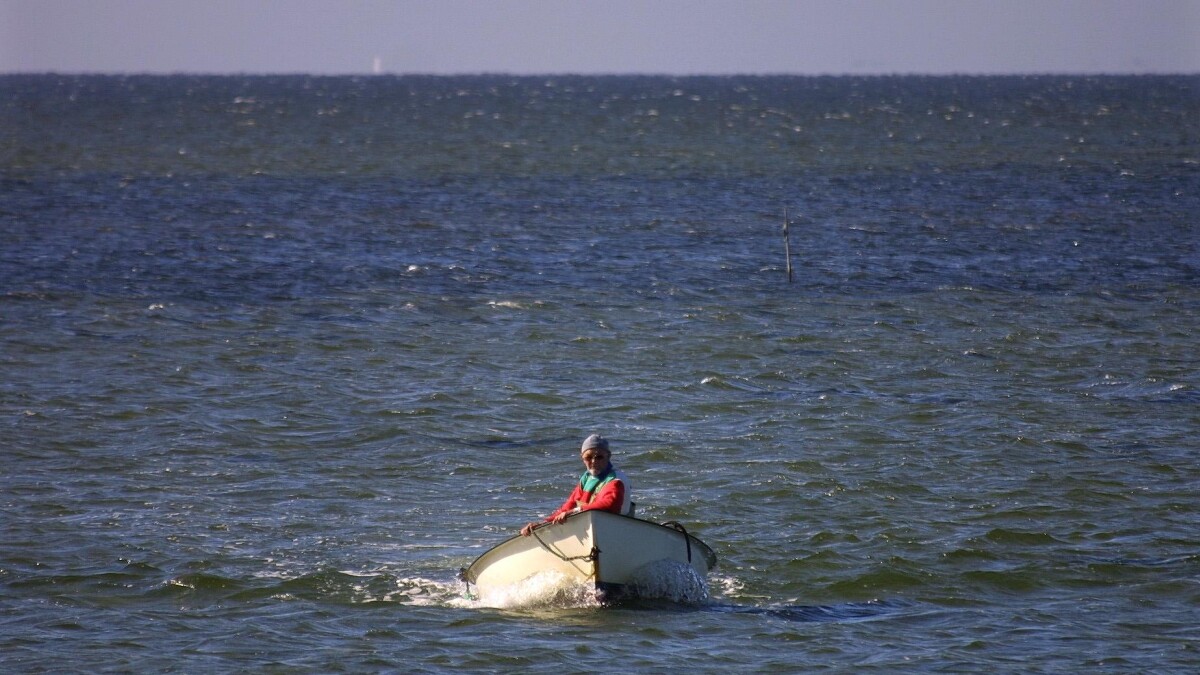 Færre fritidsfiskere bruger ulovlige efter skærpede bøder | Midt- og Vestjylland | DR