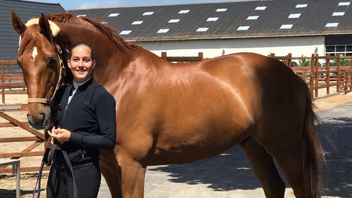 klip indad fritid PODCAST Cathrine Dufour: Jeg er færdig, hvis min hest bliver alvorligt  skadet | Sport | DR
