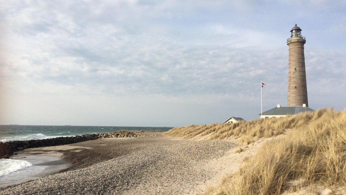 Get Nemme strand malerier For Android Nemme Strand Malerier