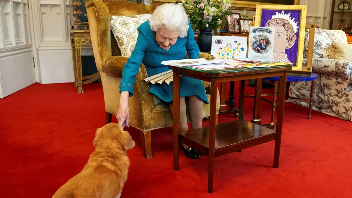 To af dronning Elizabeths hunde har fået nyt | Nyheder | DR