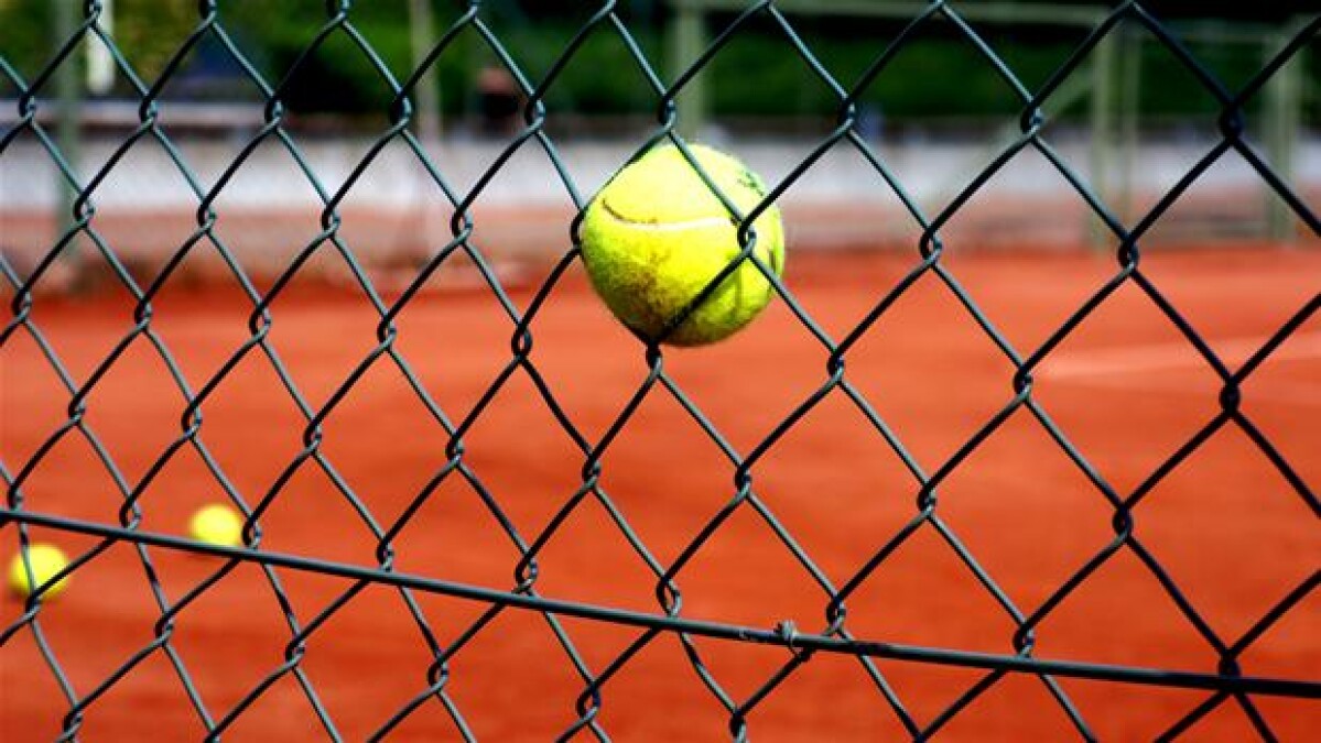 Guvernør hule edderkop Gassen går hurtigt af tennisbolden | Naturvidenskab | DR