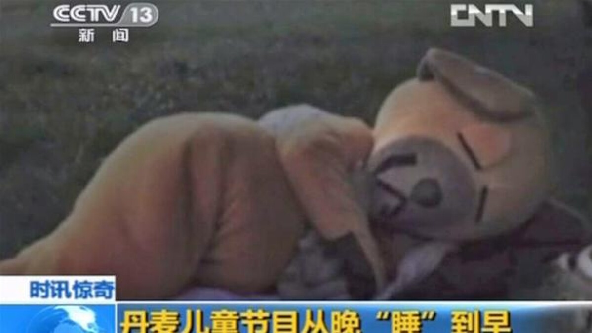Sovende Bamse hitter på kinesisk YouTube | | DR