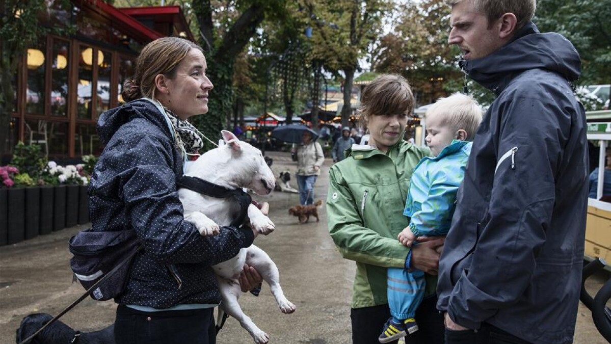Tal højt Citere Begrænsning BILLEDER Hundeejere fejrer Hundens Dag i Tivoli | Nyheder | DR